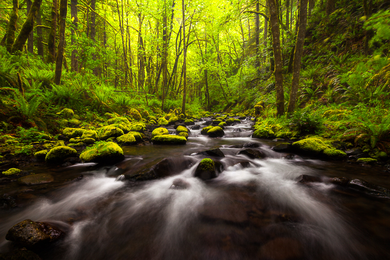 beautiful,columbia river gorge,gorton creek,horizontal,north america,northwest,oregon,pacific northwest,pacific northwest portfolio,rock,rushing,s