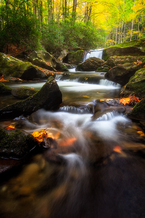 creek,east,great smoky mountains national park,little river,middle prong trail,north america,tennessee,united states,water body