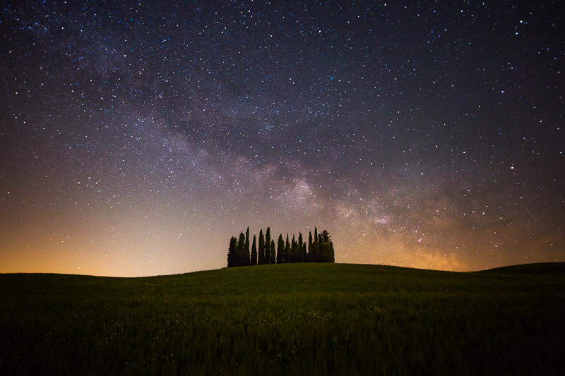 2016,May,Spring,cyprus,europe,hills,horizontal,italy,landscape,milky way,night,rolling,san quirico d'orcia,star,star trail,stars,trail,tree,trees,tuscany,wheat fields