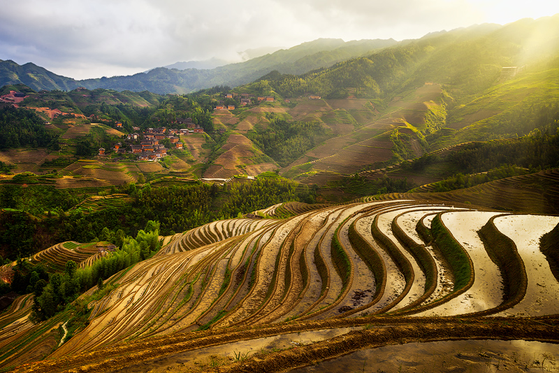 3,asia,china,gold,green,hill,horizontal,longji,longji rice terraces,longji viewpoint 3,longsheng,mountain,planting season,rice terrace,terrace,three,v