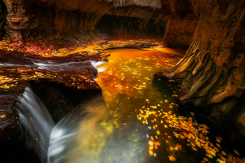 america,autumn,colors,fall,foliage,horizontal,leaf,leaves,left fork,left fork at north creek,left fork of north creek,north america,southwest,subway,swirling,the subway,united states,us,usa,utah,zion