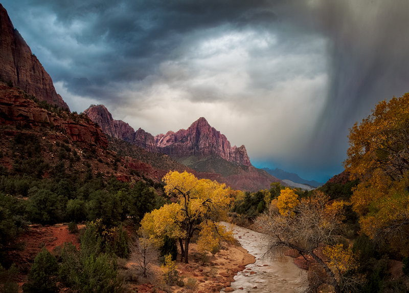 cloudy,cottonwood,fall,landscape,morning,mountain,north america,peak,river,southwest,sunrise,tree,united states,utah,watchman,water body,zion national park