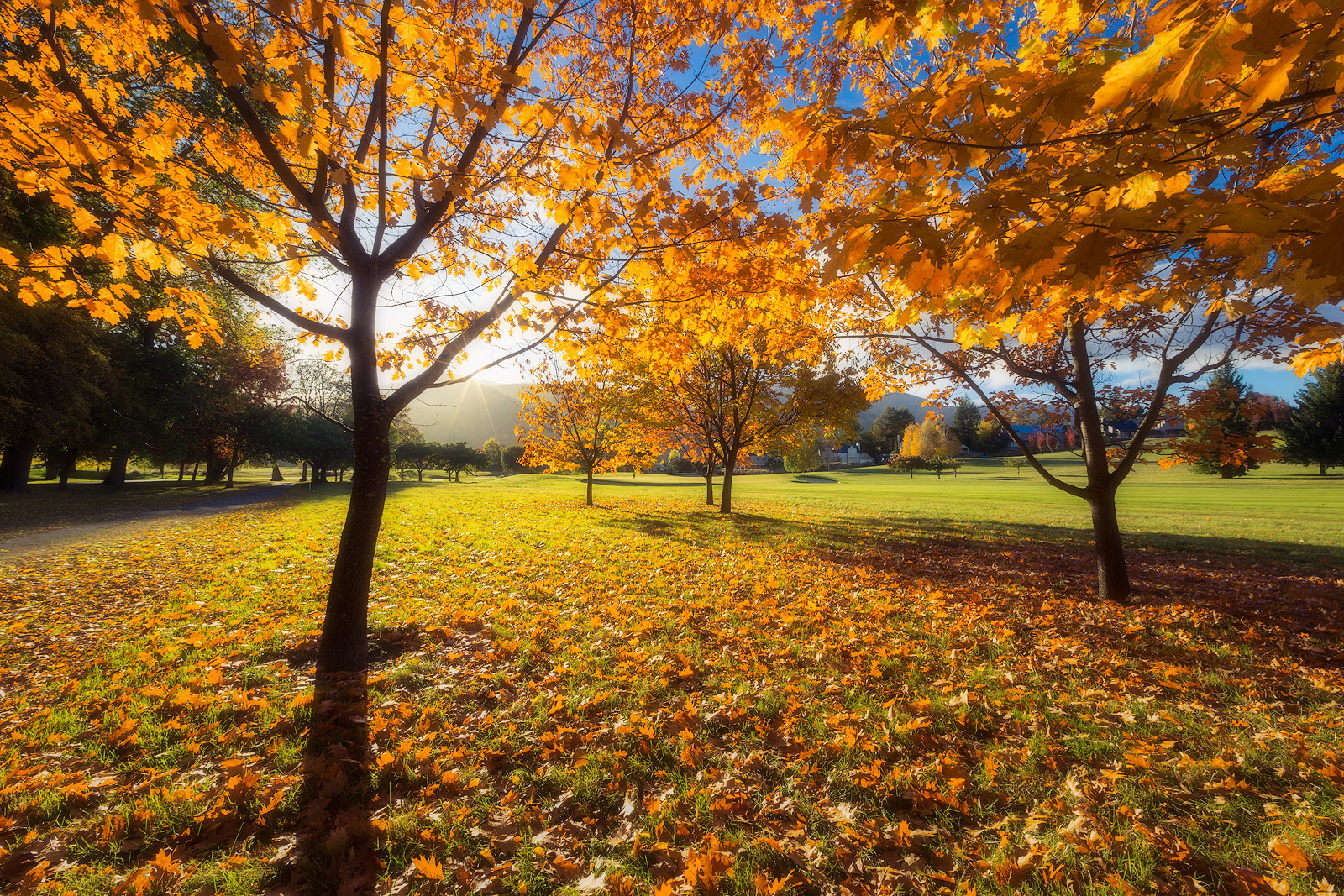 Autumn Day : Arrowtown, New Zealand : Ken Koskela Photography LLC