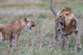 Disagreement