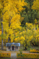 A cabin in front of peak Autumn colors.