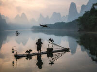 A cormorant fisherman exercising his bird on the Li River.