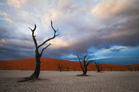 Morning Sky Over Deadvlei