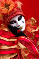 Image by Renee Doyle
