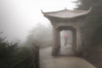Foggy Mountain Day