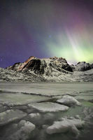 Lofoten in Lights