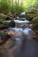 Great Smoky Mountains