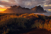 Fields glowing from low-angled sunlight in front of an otherworldly mountain range in Iceland.
