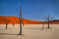 Parched
