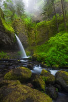 Pacific Northwest Images on Their Way