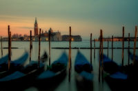 Gondolas docked at San Marco Square in Venice.