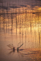 Fishermen holding their nets on a flooded plain during a brilliant sunrise.