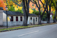 Photo by Renee Doyle