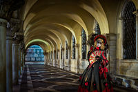 Image by Renee Doyle