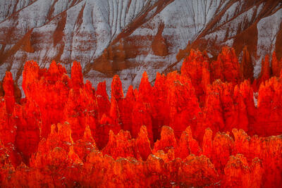 Fire and Bryce