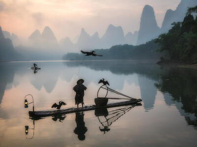 A cormorant fisherman exercising his bird on the Li River.