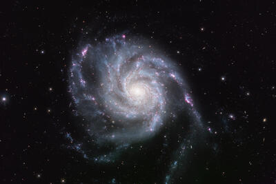 The Pinwheel