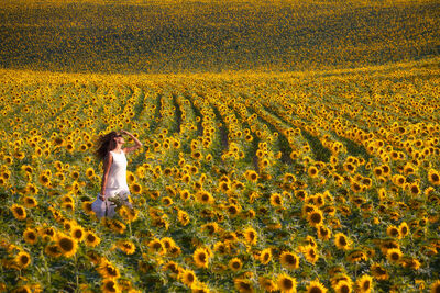 A woman standing in an endless field of sunflowers in southern France.