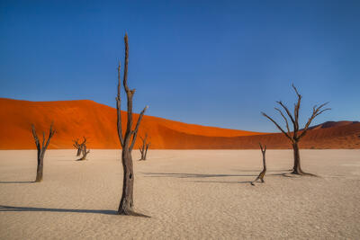 Parched