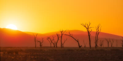 Sun peeking over the Namibian sand dunes at the end of the day.