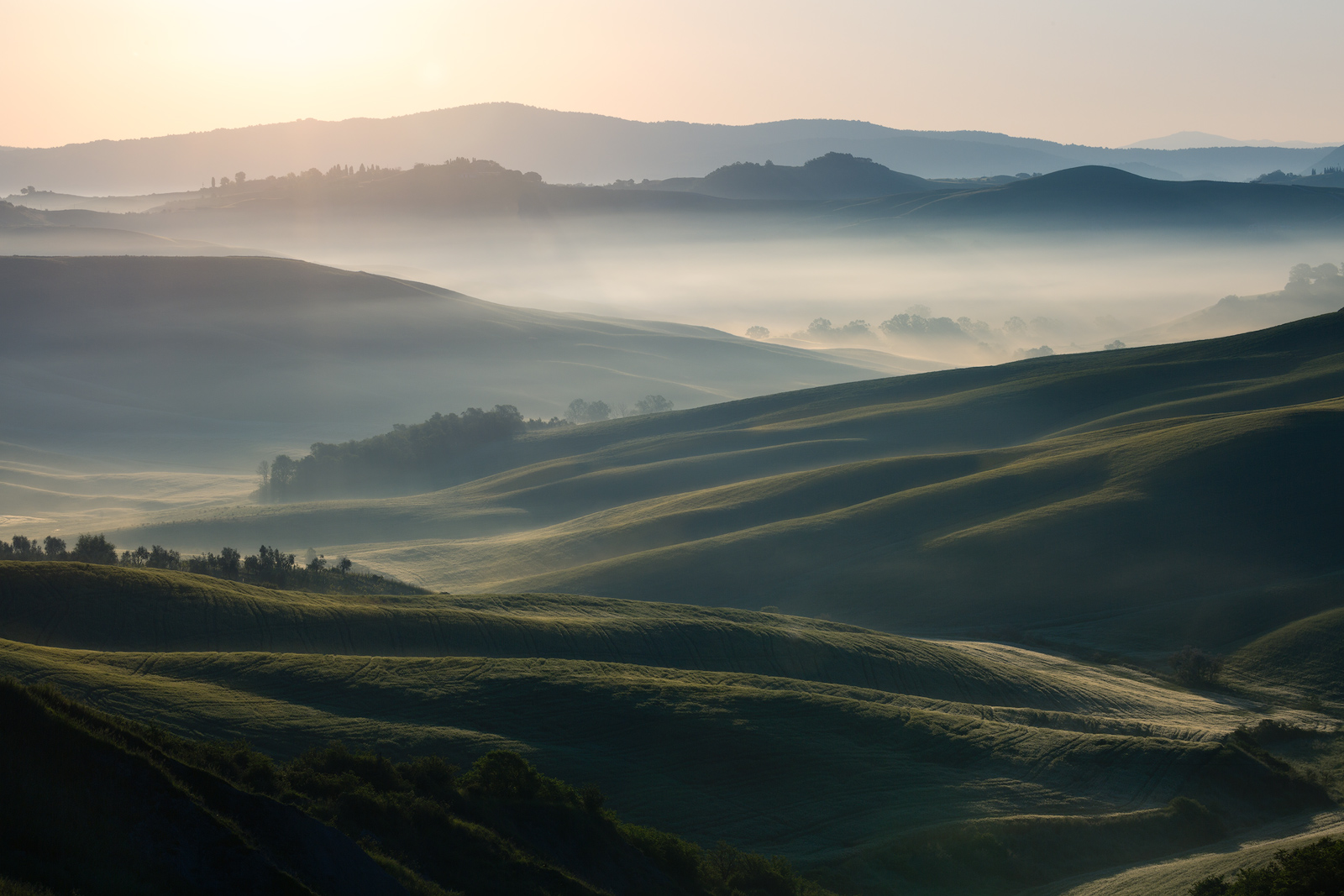 Horizontal view of early morning sunlight hitting a foggy valley.