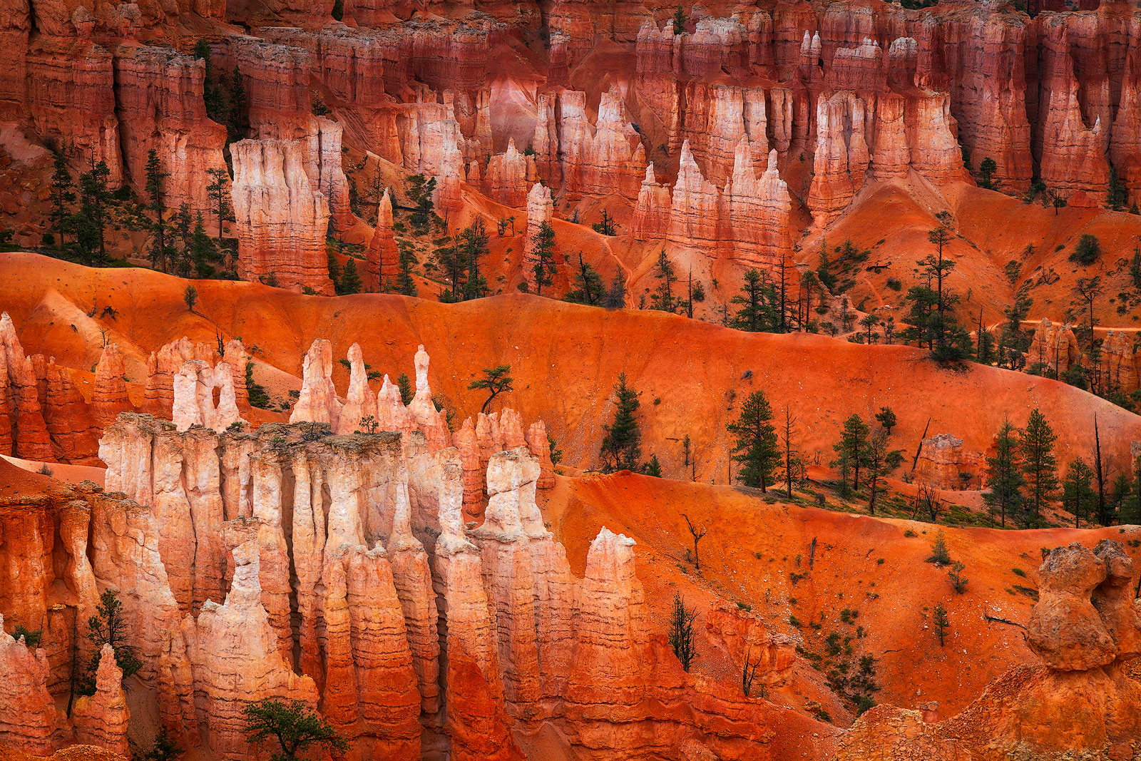 Close-up of multi-colored formations inside Bryce Canyon