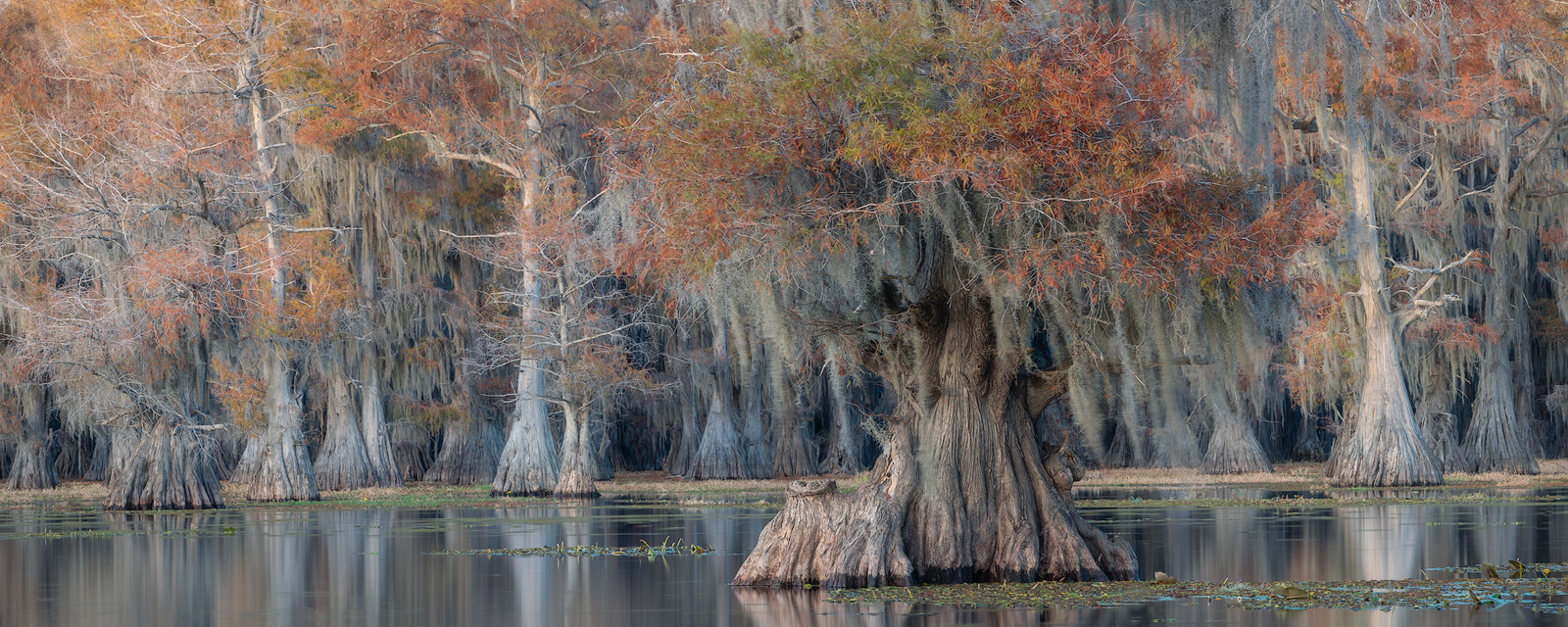 Fall colors and dangling moss create a magical setting in the bayou.