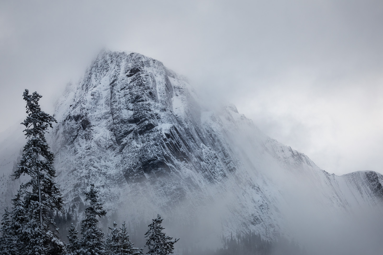 A roadside capture of a snow-capped mountain peak enveloped in fog.