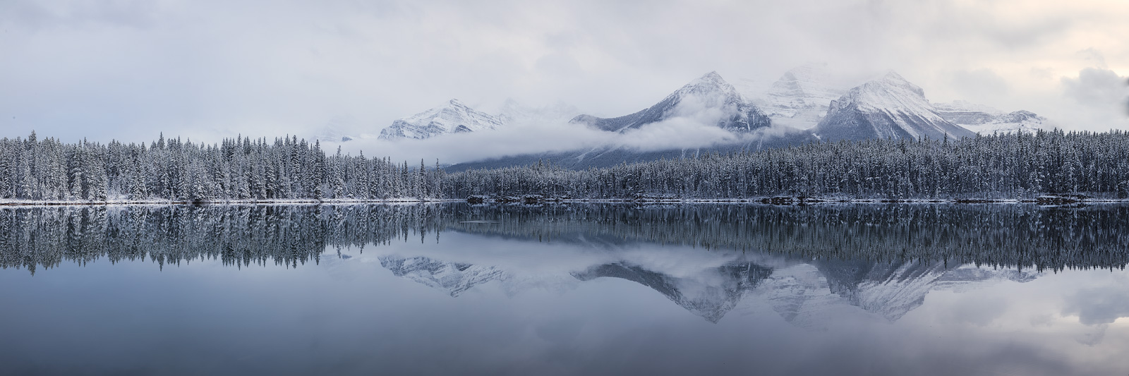 A wide pano of a snowy Winter scene in the majestic Canadian Rockies.