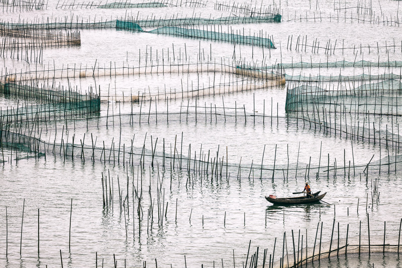 A Chinese fisherman manuevering through a maze of nets.
