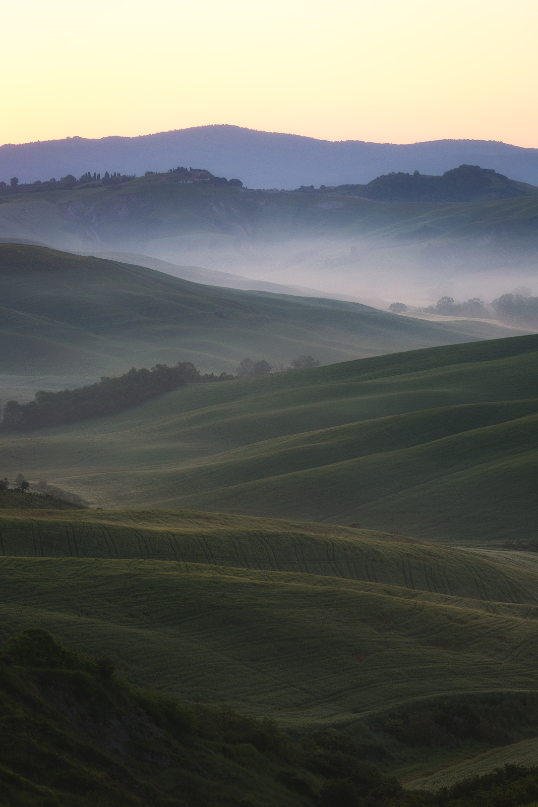 Close-up of Tuscany's hillls at sunrise with fog rolling through.