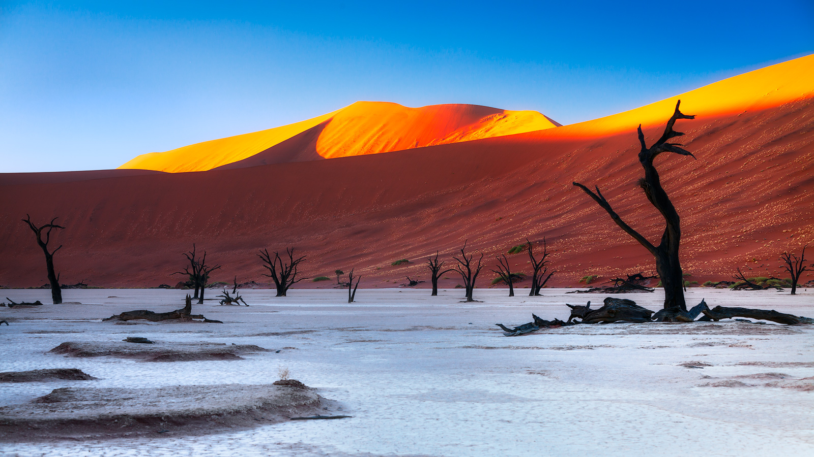 Morning light touches the peaks of the orange dunes above Deadvlei
