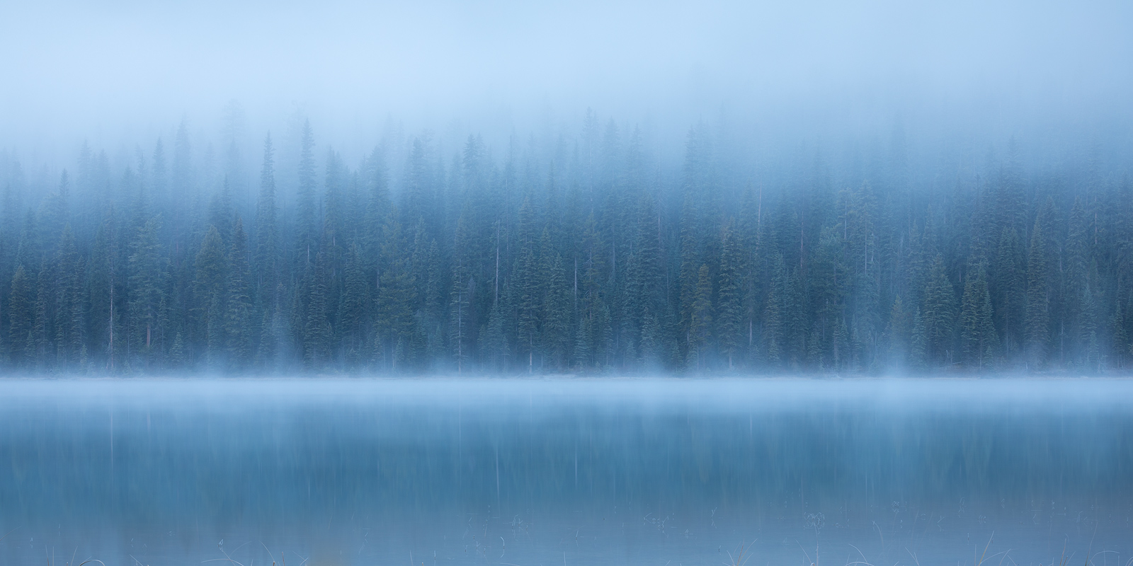 Blue Morning