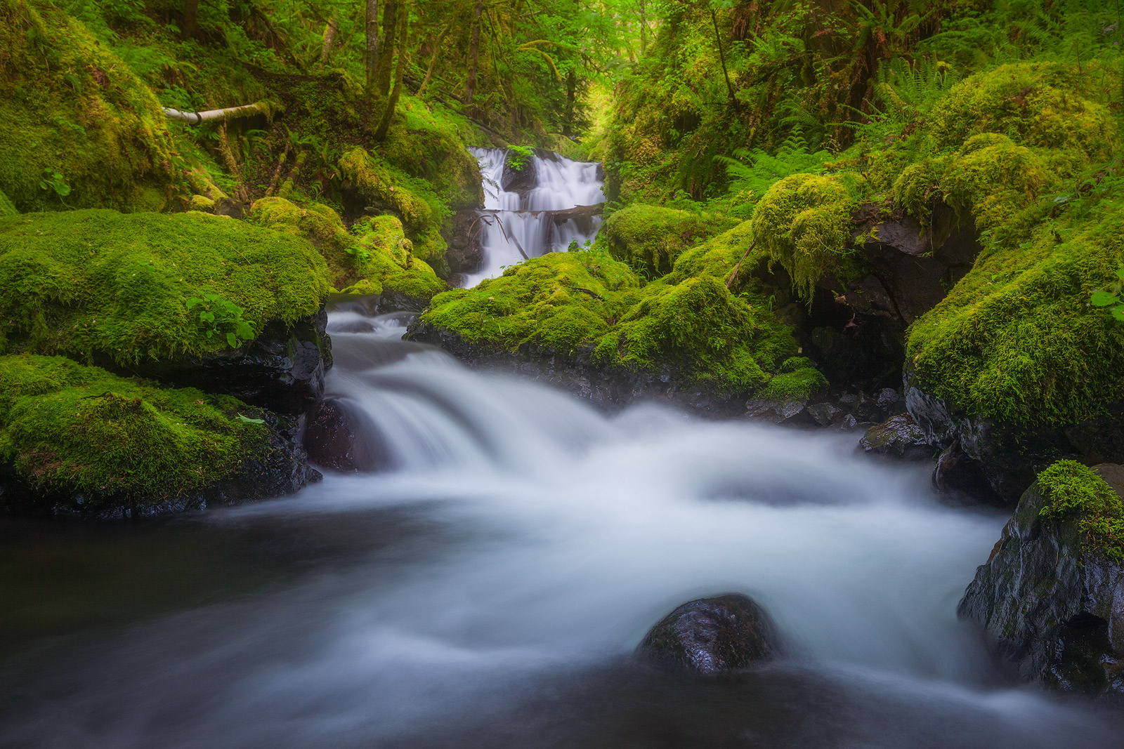 Beautiful waterfalls cascading through Gorton Creek of the Pacific Northwest.