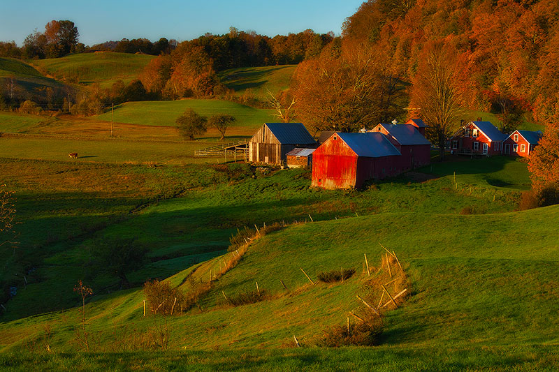 Morning light and Fall foliage at the Jenne Farm