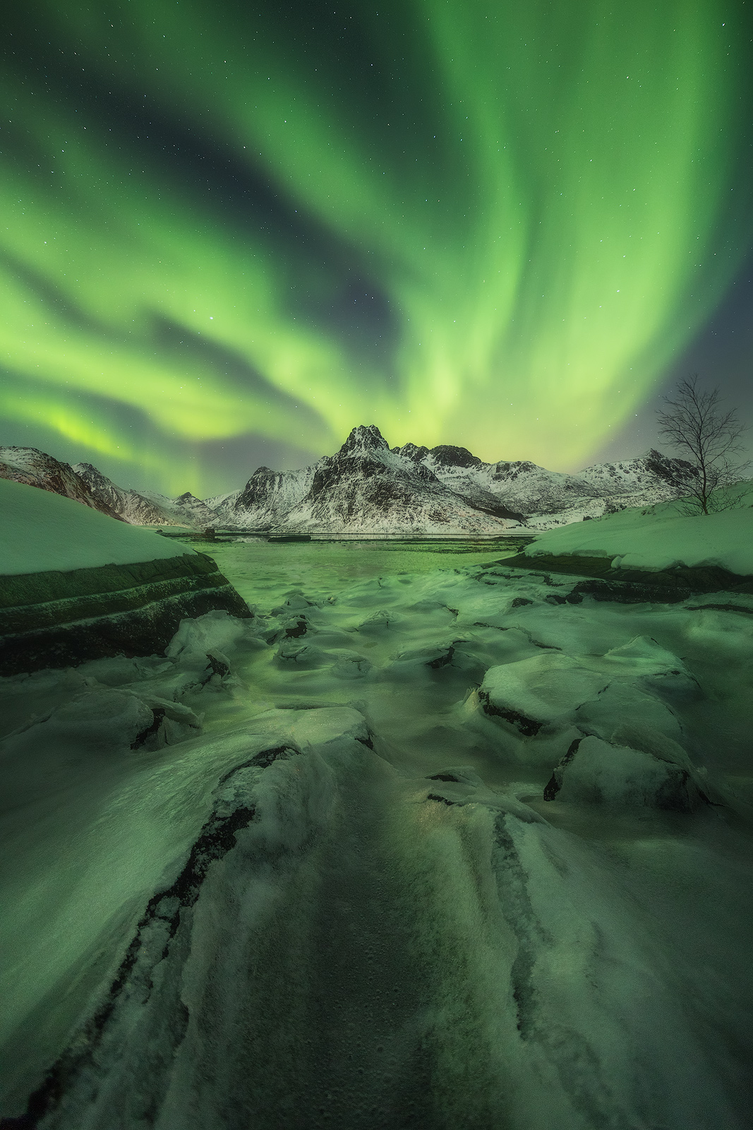 Brilliant aurora behind the mountains of Lofoten.