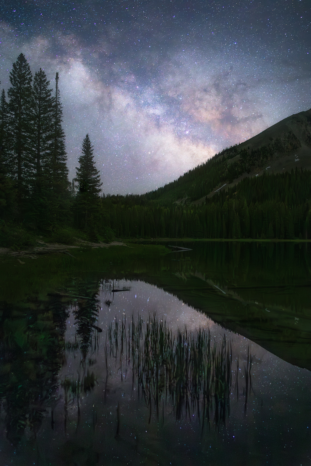 The core of the Milky Way rises above a still pond.