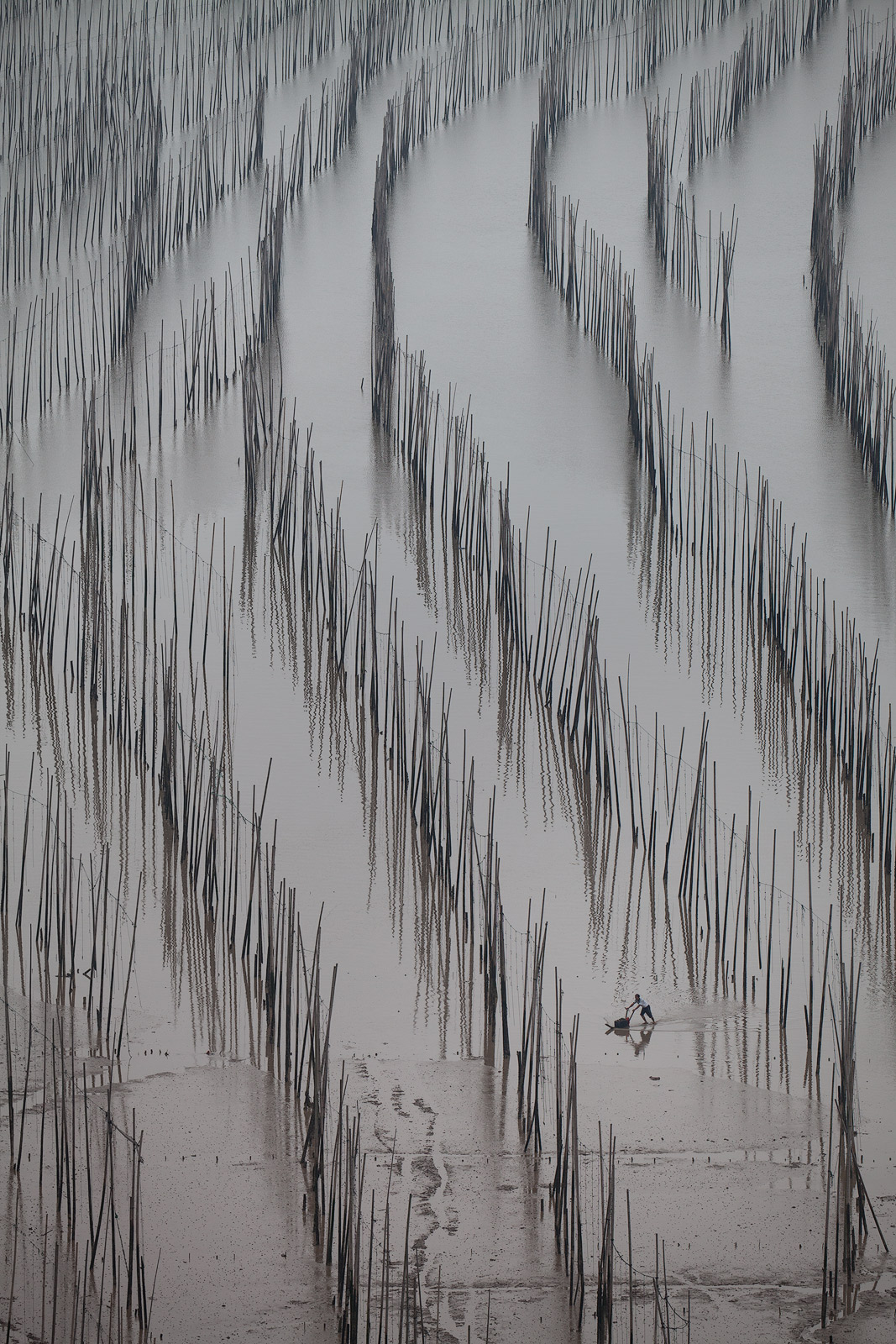 A fisherman makes his way through the mud flats using a glider.