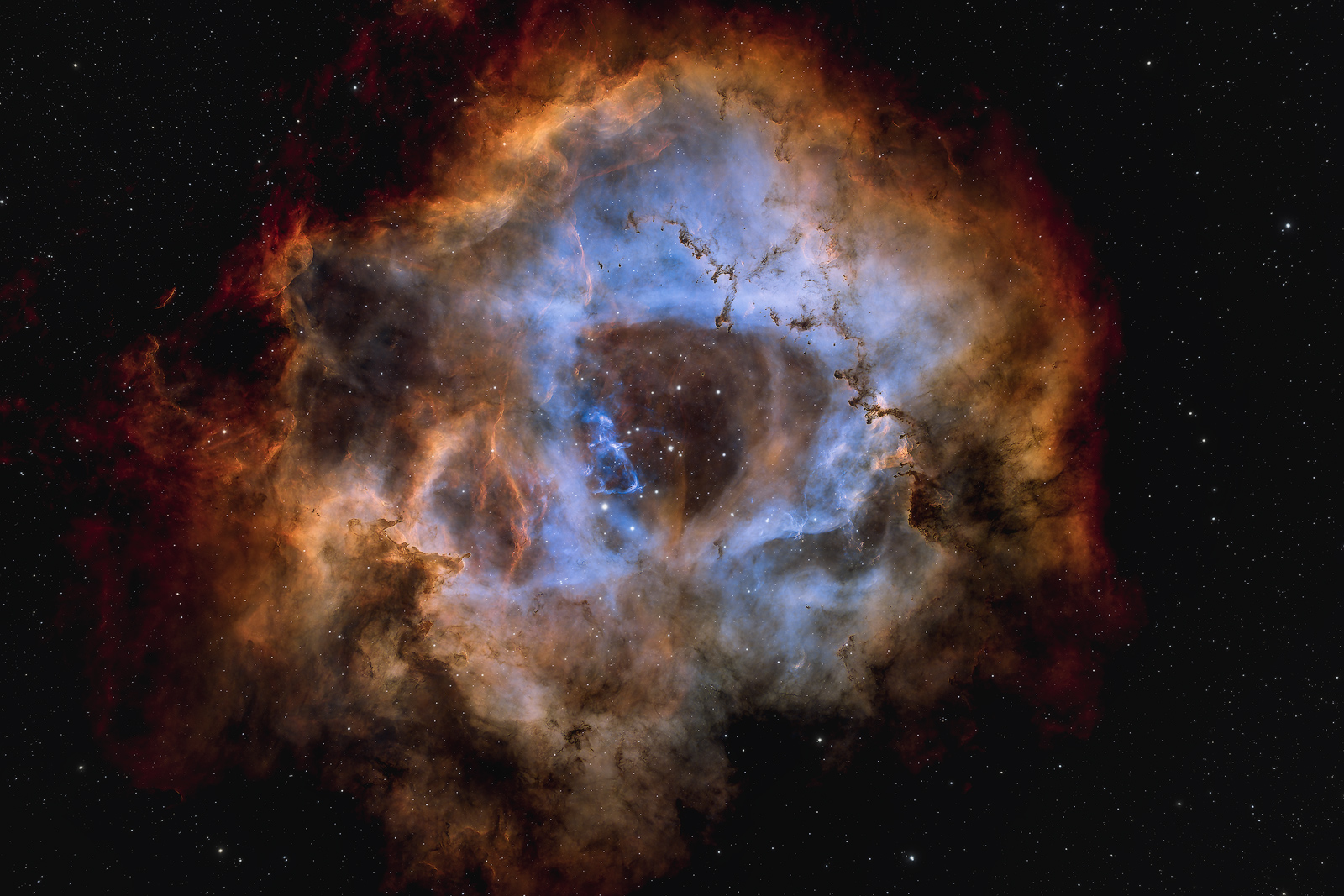 The Rosette Nebula (NGC 2237, C49), a large emission nebula located in the constellation of Monoceros.
