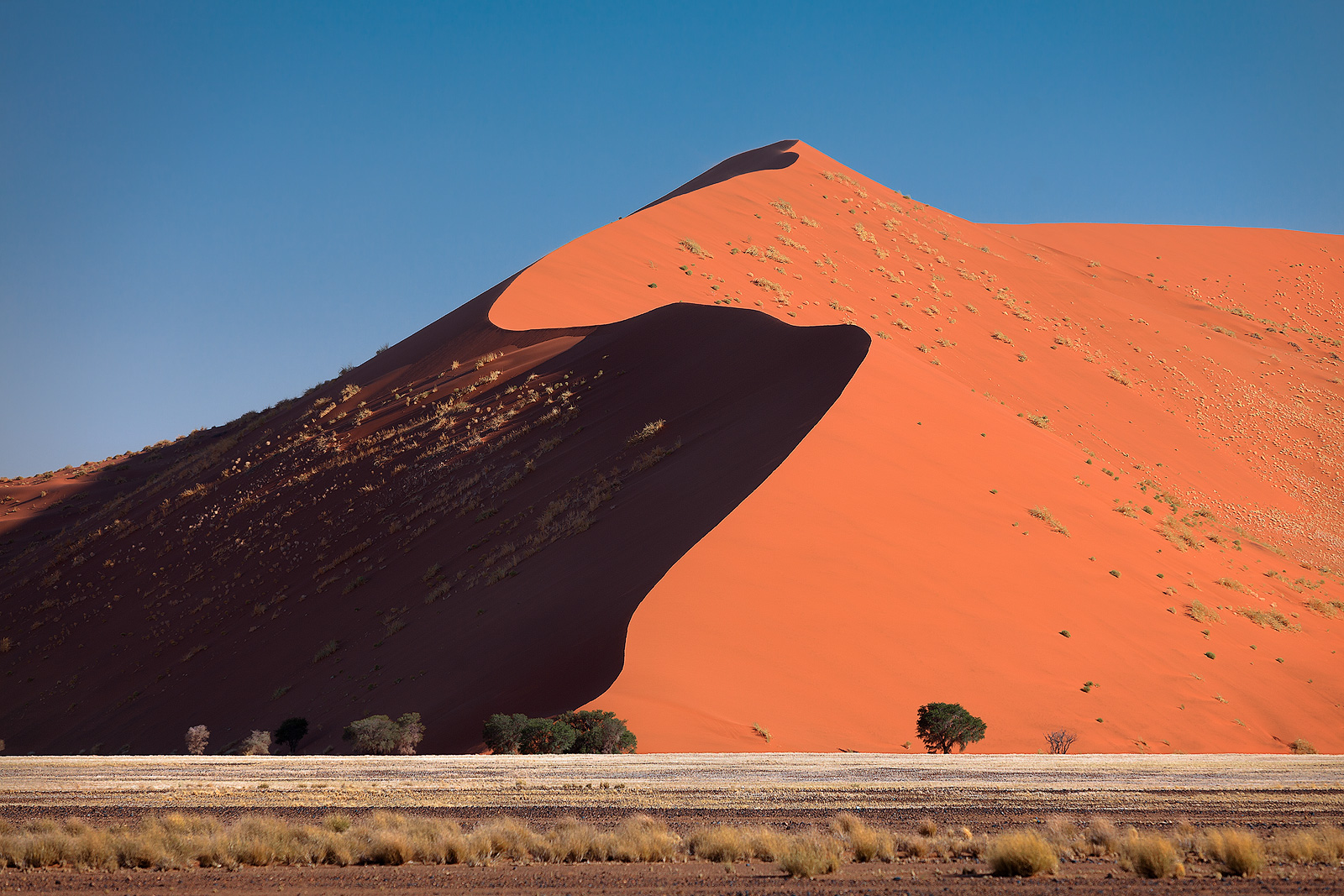 An s-curve in the orange sand dunes against a clear blue sky