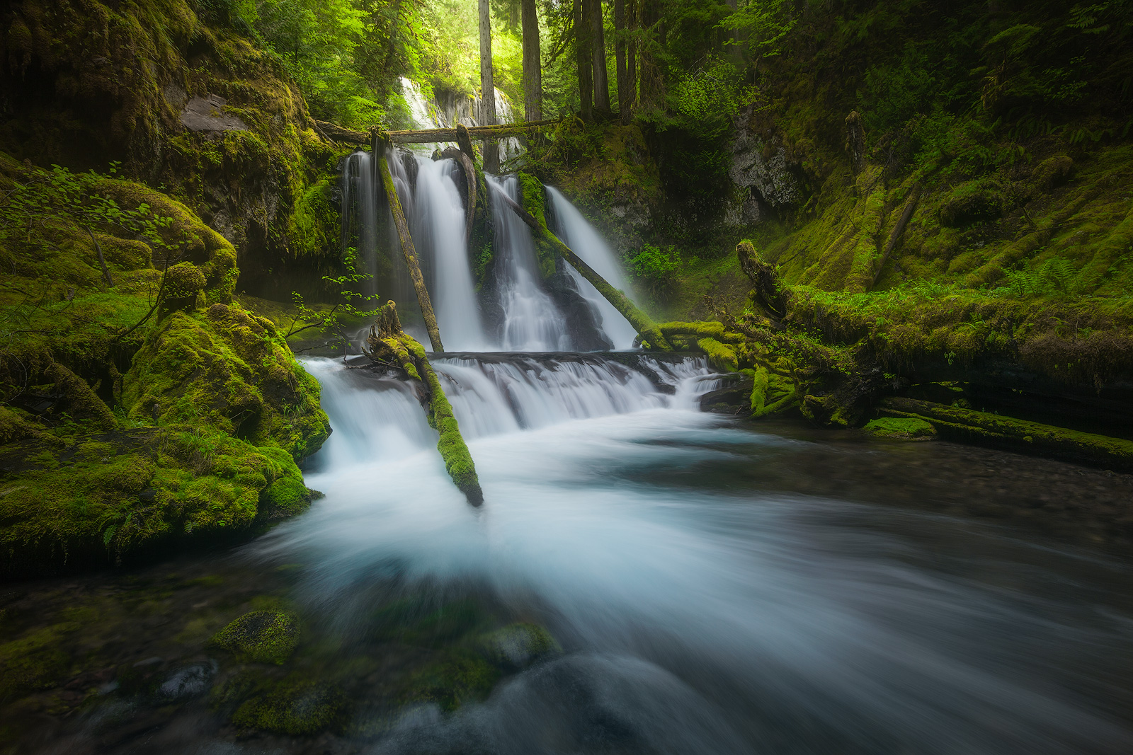 The beautiful Panther Creek Falls, taken back in 2013 during a very memorable trip.