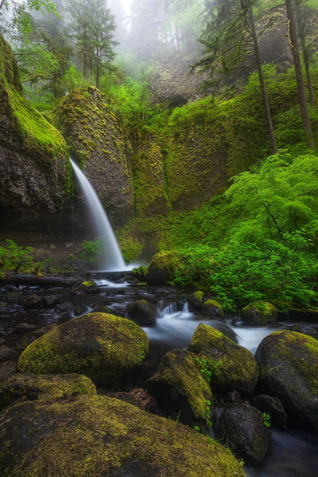 Fog moving through a forest overlooking a beautiful waterfall in the Pacific Northwest.