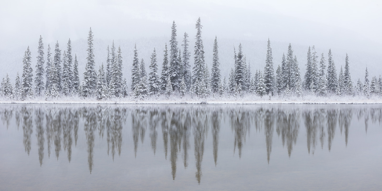 An unassuming pond turned into a Winter wonderland during an October snowstorm in the Canadian Rockies.