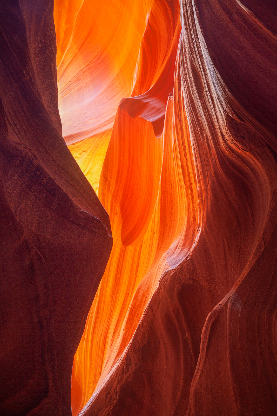 A section of a dark slot canyons with hidden brilliant colors.