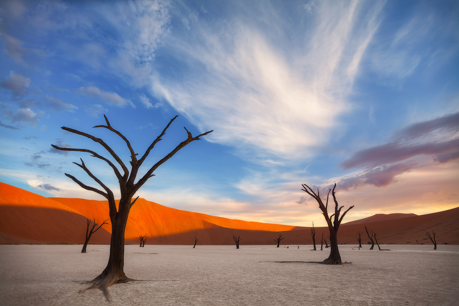 Evening light striking the otherworldly orange dunes at Deadvlei.