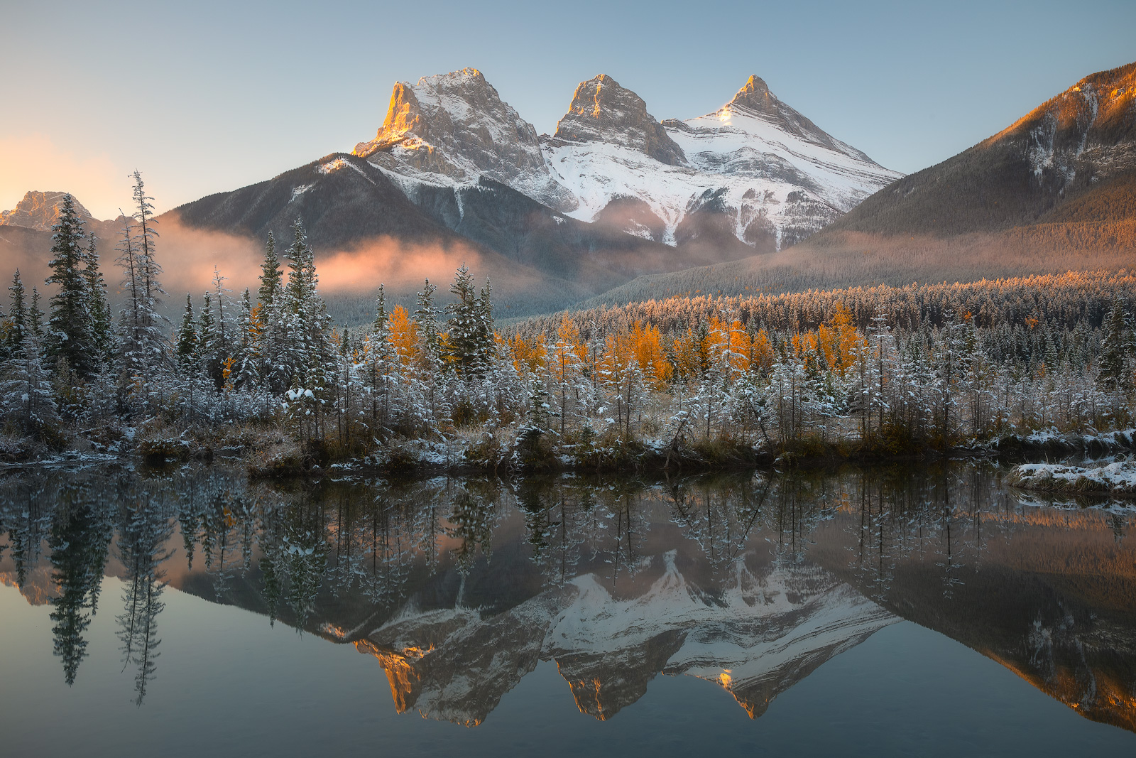 Beautiful side-lighting catches the tops of trees in from of the Three Sisters.